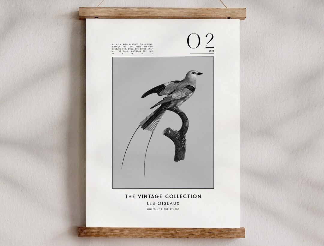 Bird Wall Art Black & White Art Bird Print Digital Download Bird Lover