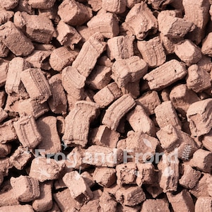 Calcium Bearing Clay Substrate for Bioactive Vivaria / FREE SHIPPING