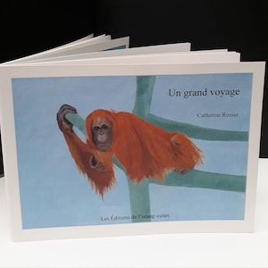 Livre illustré pour enfants "Un grand voyage"