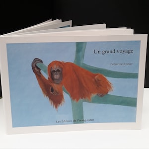 Livre illustré pour enfants Un grand voyage image 1