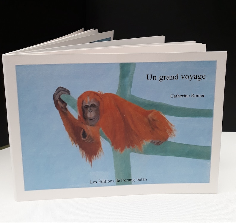 Livre illustré pour enfants Un grand voyage image 1