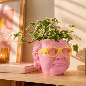 May include: A pink planter shaped like a human head with yellow glasses, holding a green plant. The planter is on a wooden shelf with a candle and a framed picture in the background.