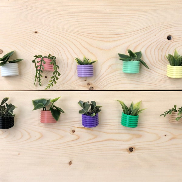 Mini Succulent Fridge Magnet | Planter Fridge Magnet | Plant Lover Gift | Plant Kitchen Decor | Office Plant Decor