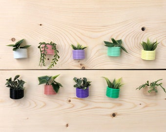 Mini Sukkulenten Kühlschrankmagnet | Blumentopf Kühlschrankmagnet | Pflanzenliebhaber Geschenk | Pflanzen-Küchen-Dekor | Büro Pflanzen Dekor