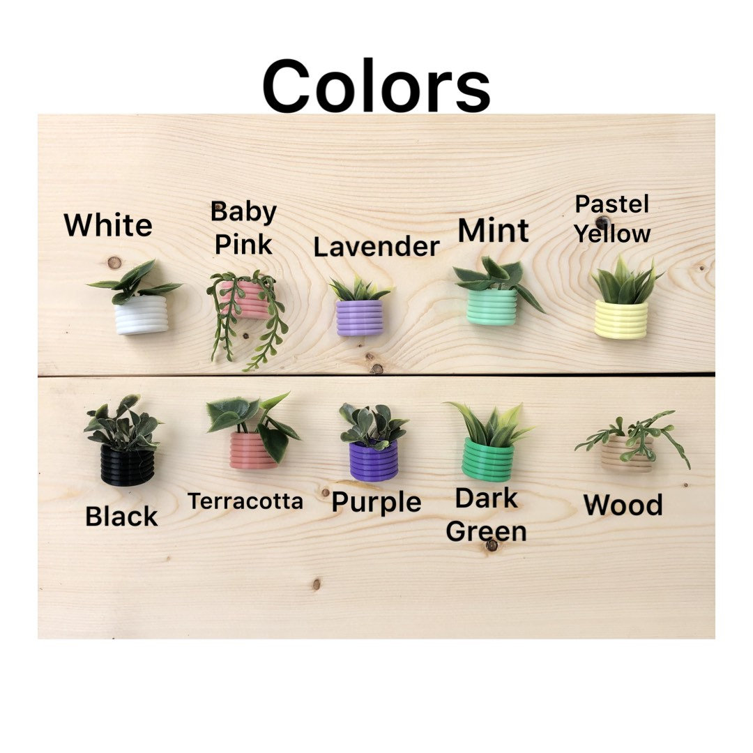 Mini Succulent Fridge Planter Fridge Plant Etsy Canada