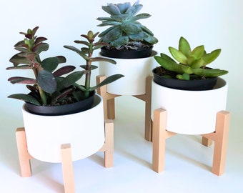 Minimalist Raised Planter Set of 3 | Midcentury Modern Decor | Unique Planter and Home Decor | Plant Lover Gift