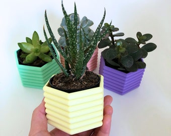 Hexagon Bubble Planter Set | Cute Planter | Pastel Bubble Planter | Indoor Planter Set