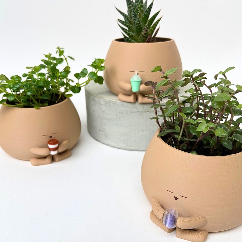 Gezellige pot met drankplanter Wijnkoffie Bubble Tea voor plantenliefhebber afbeelding 2