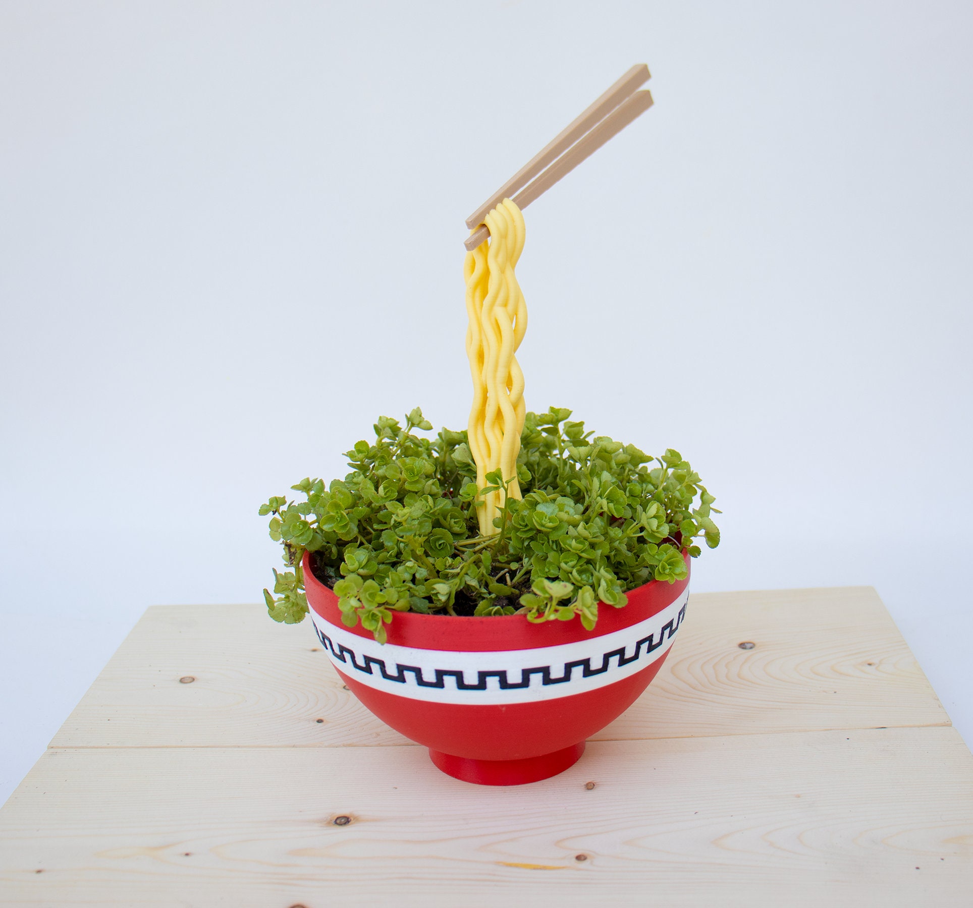 小物 SRL.NOODLE BOWL PLANT POT 231 AINH-AC03 SRL . NOODLE BOWL PLANT POT SRL . SMALL BOWL PLANT POT