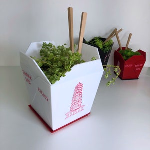 Chinese Takeout Planter | Indoor Planter with Drain Holes and Drip Tray | Fun Planter | Plant Lover Gift