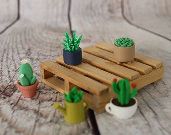 Set of 5 Planter with Succulent Magnet