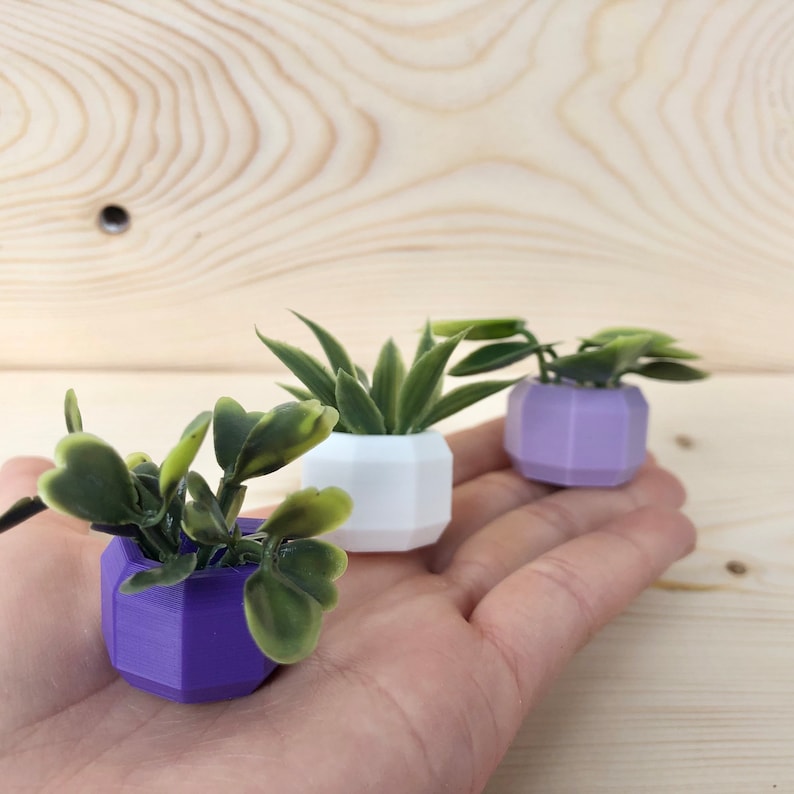 Mini aimant de réfrigérateur succulent Aimant de réfrigérateur de planteur Cadeau damoureux des plantes Décor de cuisine végétale Décor végétal de bureau image 4