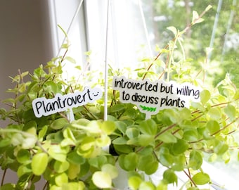 Funny Plant Stake Decor - Waterproof Houseplant Accessories - Gag Gift for Plant Lover