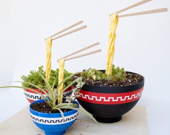 Japanese Ramen Bowl Planter | Floating Noodles and Topping