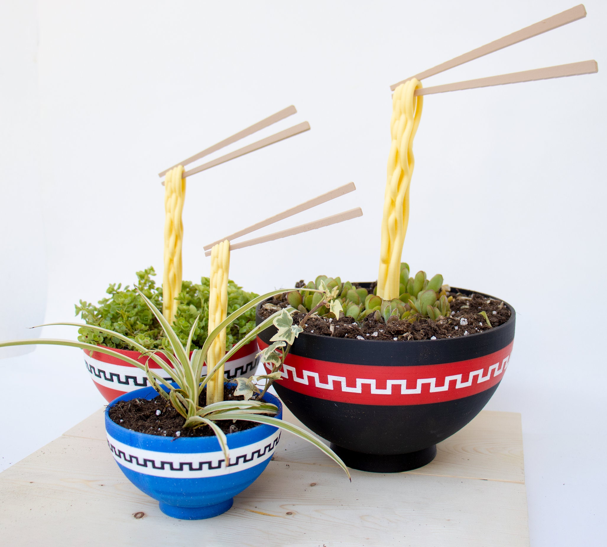 Japanese Ramen Bowl Planter | Floating Noodles and Topping