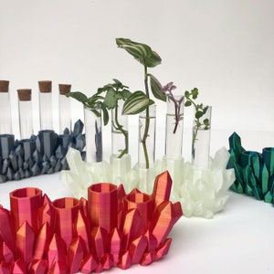 May include: A set of seven clear glass test tubes with plants growing in them, arranged in a row on a white, crystal-like base. The base is surrounded by three different colored crystal-like bases, one red, one white, and one green.