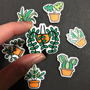House Plant Fridge Magnet Set | 3D Magnet Set | Kawaii Plant Lover Decor / Gift