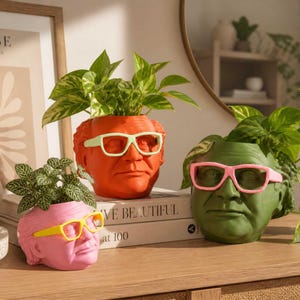 May include: Three head-shaped planters in orange, pink, and green, each with eyeglasses and holding plants. The planters have different coloured glasses. The planters are on a wooden surface, with books and a mirror in the background. The plants have green leaves.