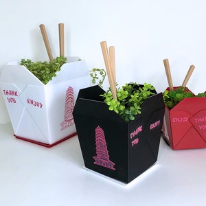 Chinese Takeout Planter Indoor Planter with Drain Holes and Drip Tray Fun Planter Plant Lover Gift image 2