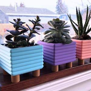 Set of 3 Square Bubble Planter Set | Raised Pastel Planter Set | Plant Lover Gift