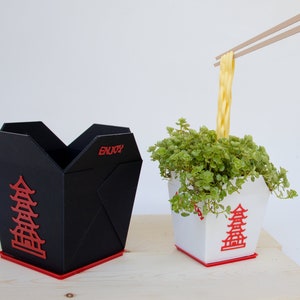 Chinese Takeout Planter | Indoor Planter with Drain Holes and Drip Tray | Fun Planter | Plant Lover Gift