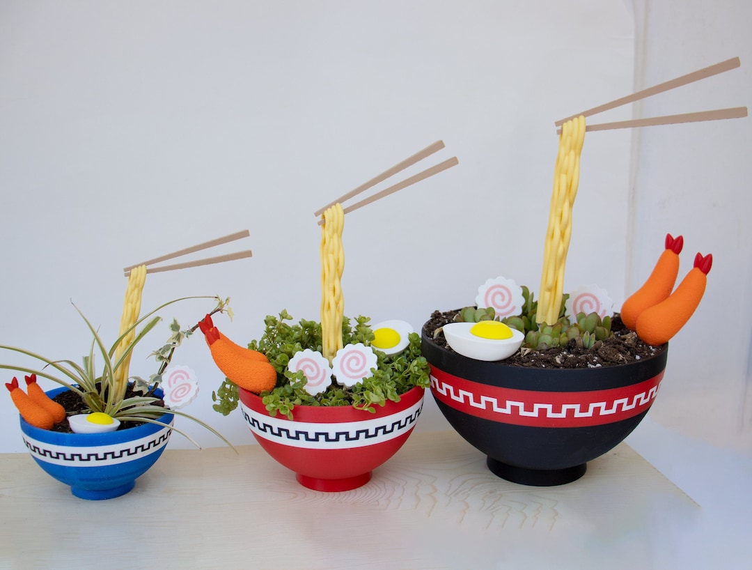 Japanese Ramen Bowl Planter | Floating Noodles and Topping