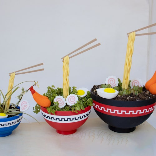 Japanese Ramen Bowl Planter | Floating Noodles and Topping