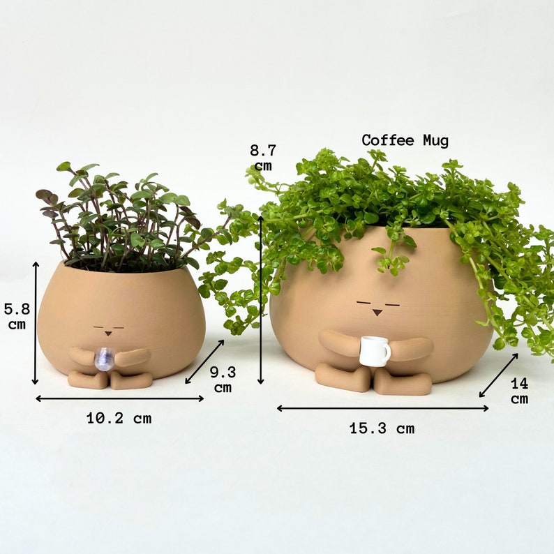 Gezellige pot met drankplanter Wijnkoffie Bubble Tea voor plantenliefhebber afbeelding 7