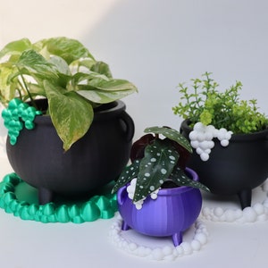 May include: Three black cauldron-shaped planters with different plants. The planters have white and green 3D printed accents. The plants are a variegated green plant, a green leafy plant, and a spotted green plant. The planters are sitting on white and green 3D printed bases.