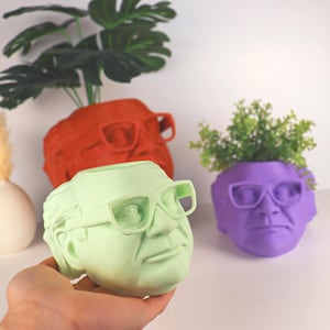 May include: A selection of face-shaped plant pots in green, red, and purple, all with glasses. The pots are filled with plants. One is held by a hand. The pots are for indoor use.