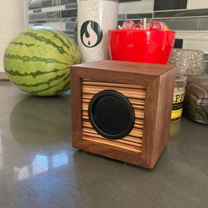 Recycled Skateboard & Walnut Speaker Box