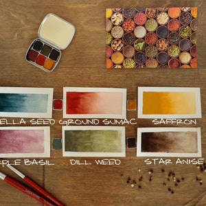 Spiced Handmade Watercolor Paint Palette 6 half pans Earthy Matte colors