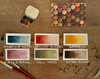 Palette de peinture aquarelle épicée faite main 6 demi-casiers couleurs terreuses mates