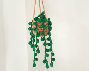 Crocheted plant | Crocheted hanging plant | Easy-care office plant | Camper decoration | Gift idea for friends and colleagues