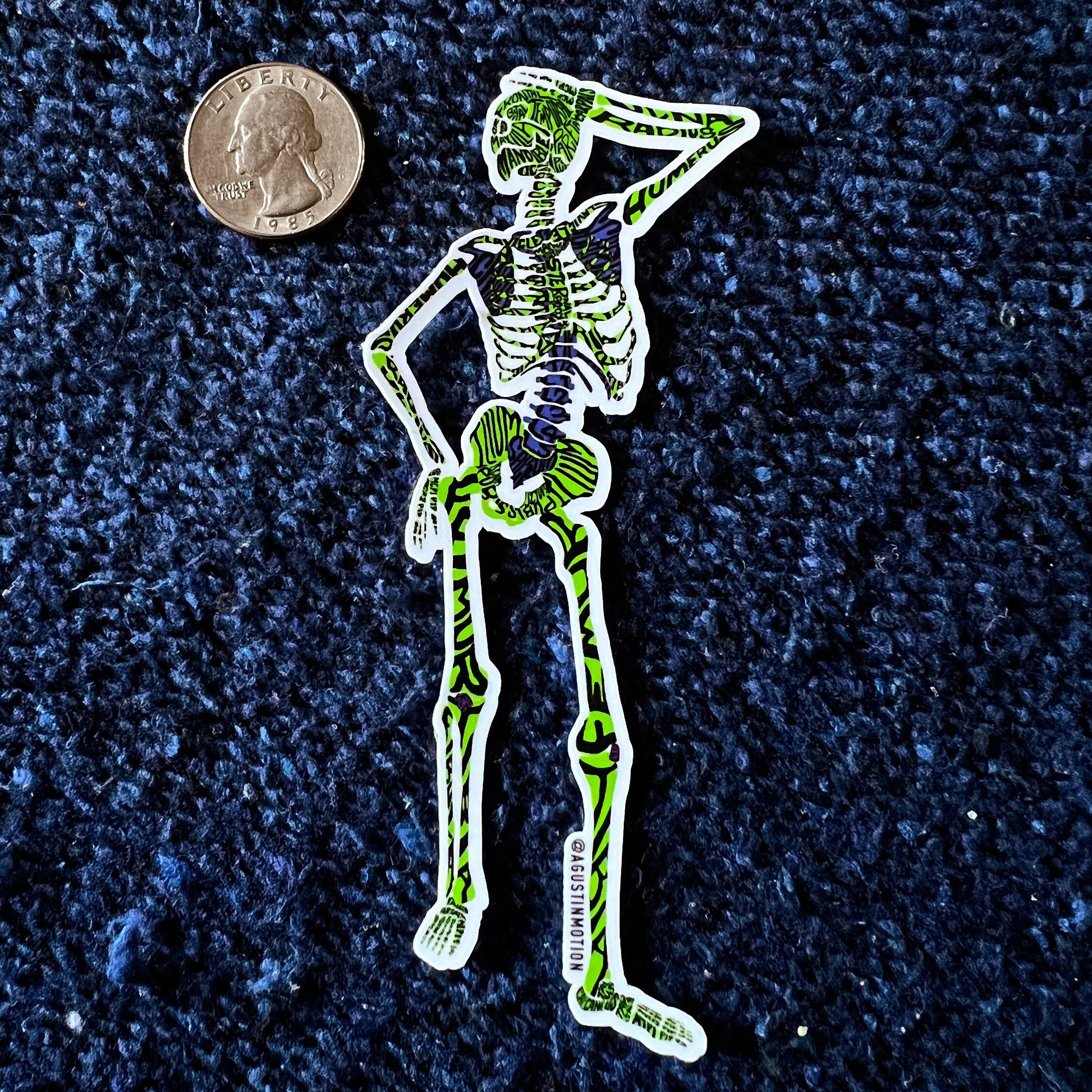 Skeleton Parts Sticker Skeleton Pose Laminated Sticker, DPT, Anatomy, Labeled, Bones - Etsy