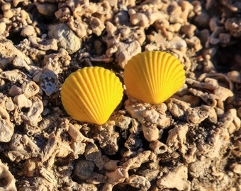 Silicone Hypoallergenic Stud Earrings "Little Sea Shell Inspiration"