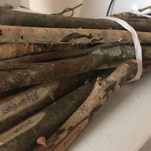 LOAD 21 STICKS