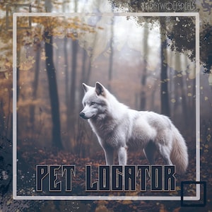 Pet Locator Reading // Connect Energetically to Find a Lost or Missing Pet and Uncover Clues About Their Location // Free Consultation