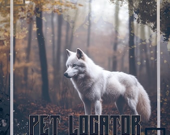 Pet Locator Reading // Connect Energetically to Find a Lost or Missing Pet and Uncover Clues About Their Location // Free Consultation