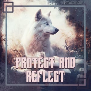 May include: A white wolf sits in a woodland setting with a misty background. The wolf is looking to the right of the image. The text "PROTECT AND REFLECT" is written in pink letters on a white background.