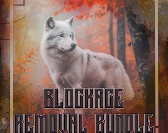 Blockage Removal Bundle // Road Opener & Emotional Block Clearing to Remove Obstacles and Support Forward Movement // Free Consultations