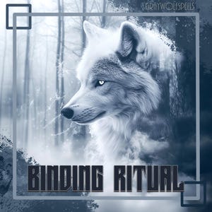 Könnte beinhalten: Digitales Kunstbild zeigt einen weißen Wolf mit stechend blauen Augen vor einem nebligen Waldhintergrund. Der Text "BINDING RITUAL" wird in fetten, dunklen Buchstaben angezeigt. Das Bild hat ein mystisches, ätherisches Thema.
