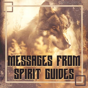 Pode incluir: Um lobo com olhos dourados olha para a direita, rodeado por uma luz dourada e nebulosa. O texto "MESSAGES FROM SPIRIT GUIDES" está em negrito, preto.