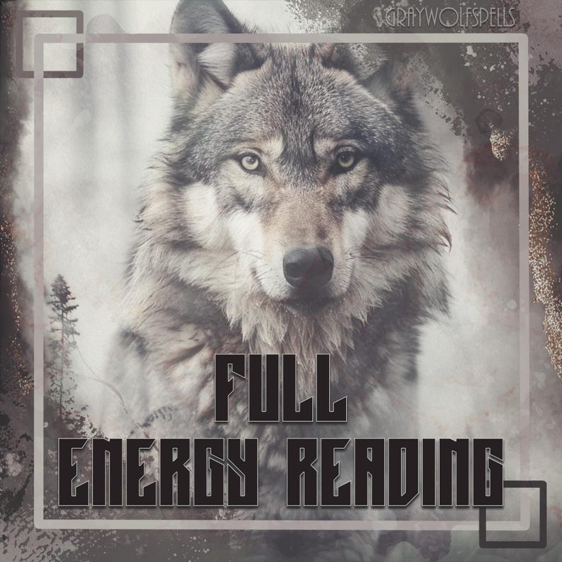 Op de afbeelding: Een grijze wolf met een serieuze uitdrukking kijkt recht in de camera. De wolf is scherp, terwijl de achtergrond wazig en vervaagd is. De tekst "FULL ENERGY READING" is in zwarte letters onder de wolf gedrukt.
