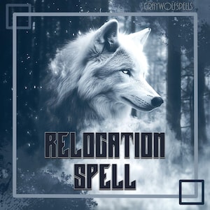 Trabajo de alineación de reubicación // Encuentre un nuevo hogar, apoye transiciones fluidas y éxito en la búsqueda de una casa // Consultas gratuitas