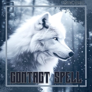 Contact Herverbinden // Moedig DM, sms, telefoontje of bericht van iemand aan // Heropen communicatietrajecten // Gratis consult