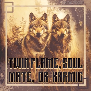 Connection Type Reading // Are We Twin Flames, Soul Mates, Or A Karmic Connection? // Free Consultations