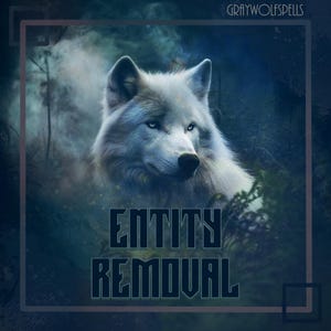 May include: Digital art featuring a majestic white wolf with piercing blue eyes, set against a dark, mystical forest backdrop. The text "ENTITY REMOVAL" is prominently displayed in a stylized font, with the name "GRAYWOLFSPELLS" at the top.