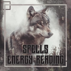 May include: A gray wolf with a serious expression is featured on a digital illustration with a grunge background. The text "Spells Energy Reading" is in bold black letters.