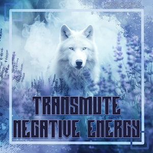 May include: A white wolf with blue eyes stands in a field of lavender flowers. The text "Transmute Negative Energy" is written in a dark blue font.